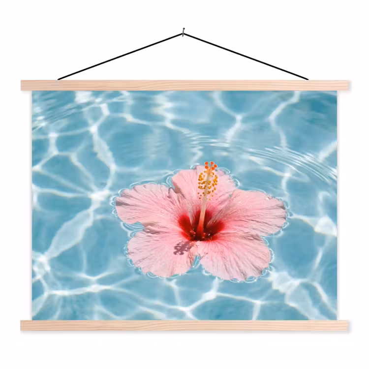 Schoolplaat - Hibiscus - Water - Roze — 1