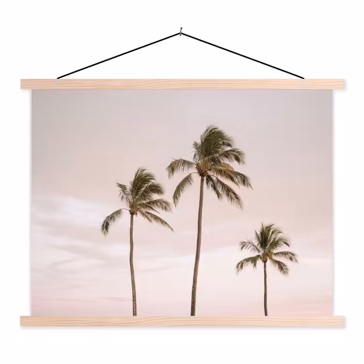 Schoolplaat - Palmbomen - Zonsondergang - Roze — 1