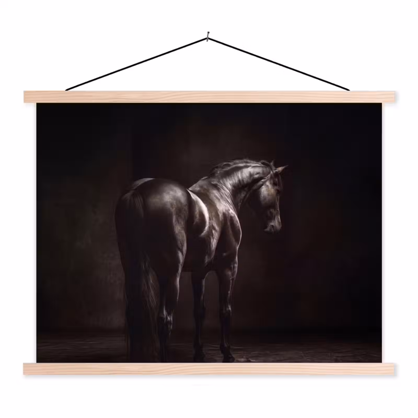 Schoolplaat - Krachtig - Paard - Donker — 1