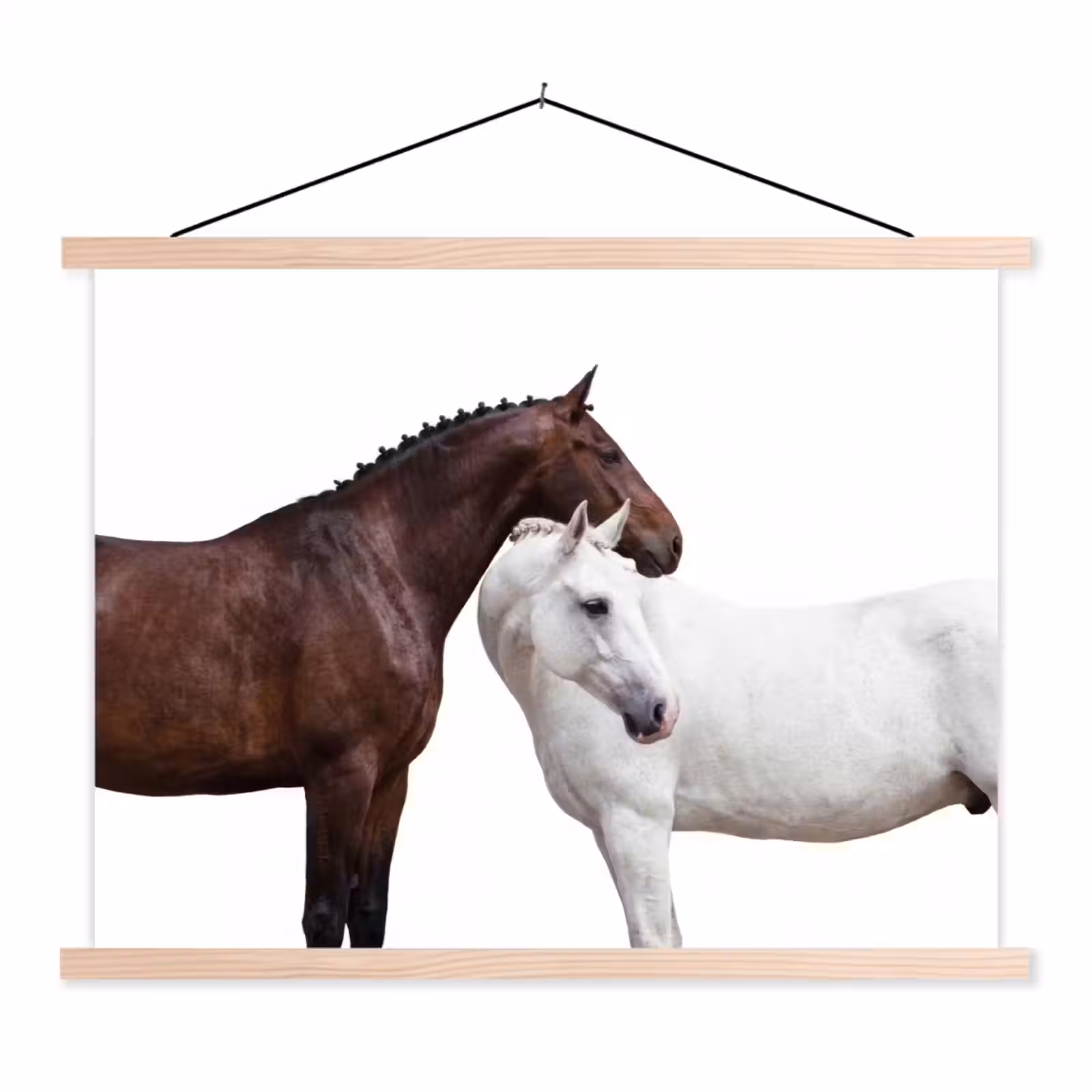 Schoolplaat - Paard - Modern - Balans — 1
