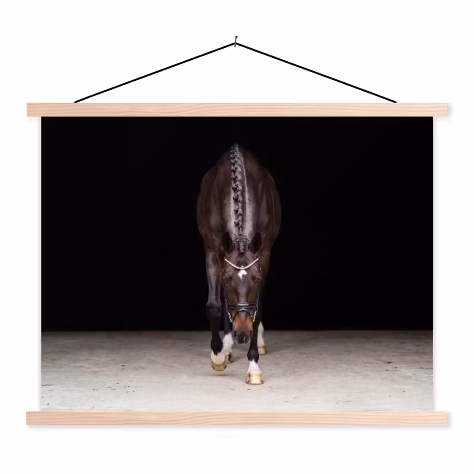 Schoolplaat - Paard - Modern - Portret — 1