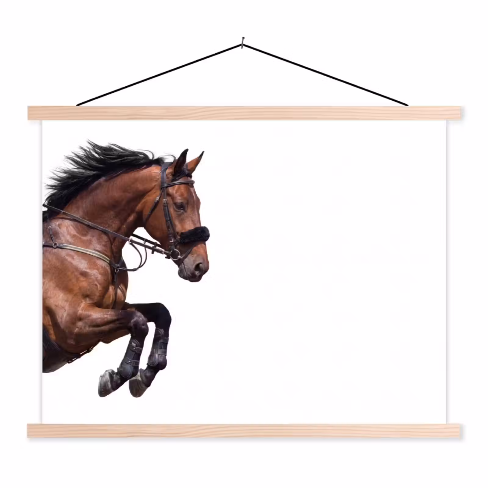 Schoolplaat - Paard - Springen - Modern — 1