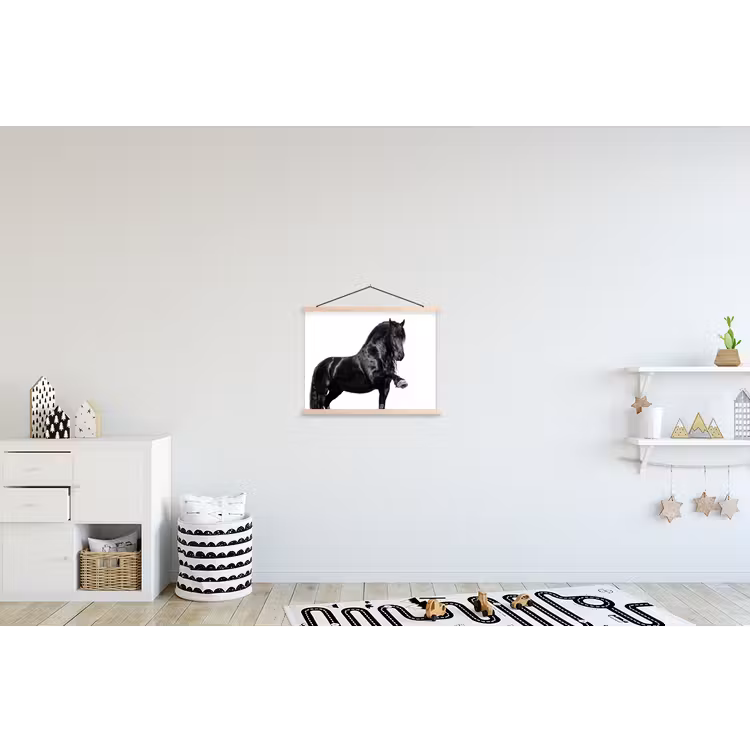 Schoolplaat - Fries - Hengst - Modern — 3