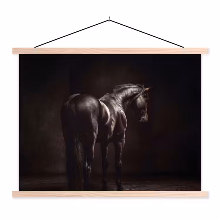 Schoolplaat - Krachtig - Paard - Donker — 1