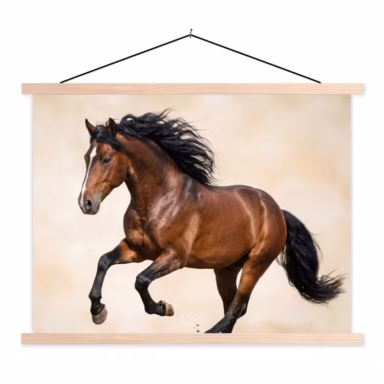 Schoolplaat - Paard - Galop - Energie — 1