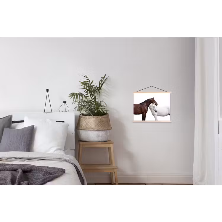 Schoolplaat - Paard - Modern - Balans — 2