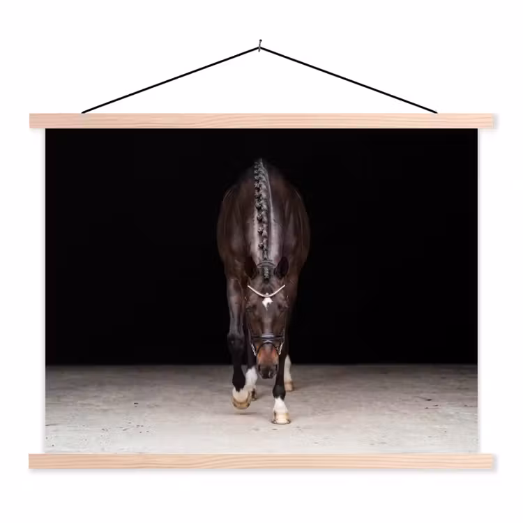 Schoolplaat - Paard - Modern - Portret — 1