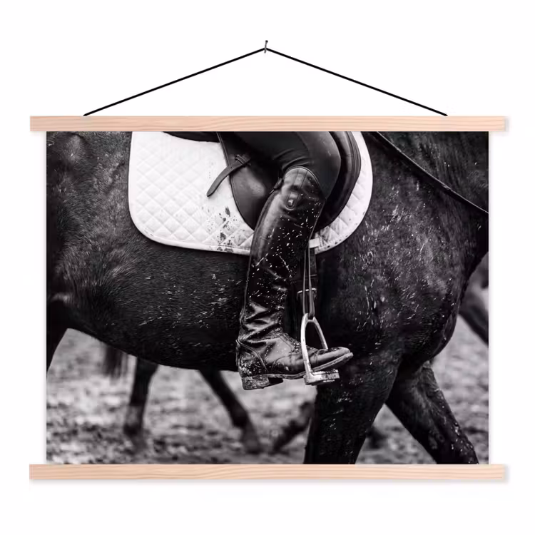 Schoolplaat - Paard - Sport - Zwart - Wit — 1