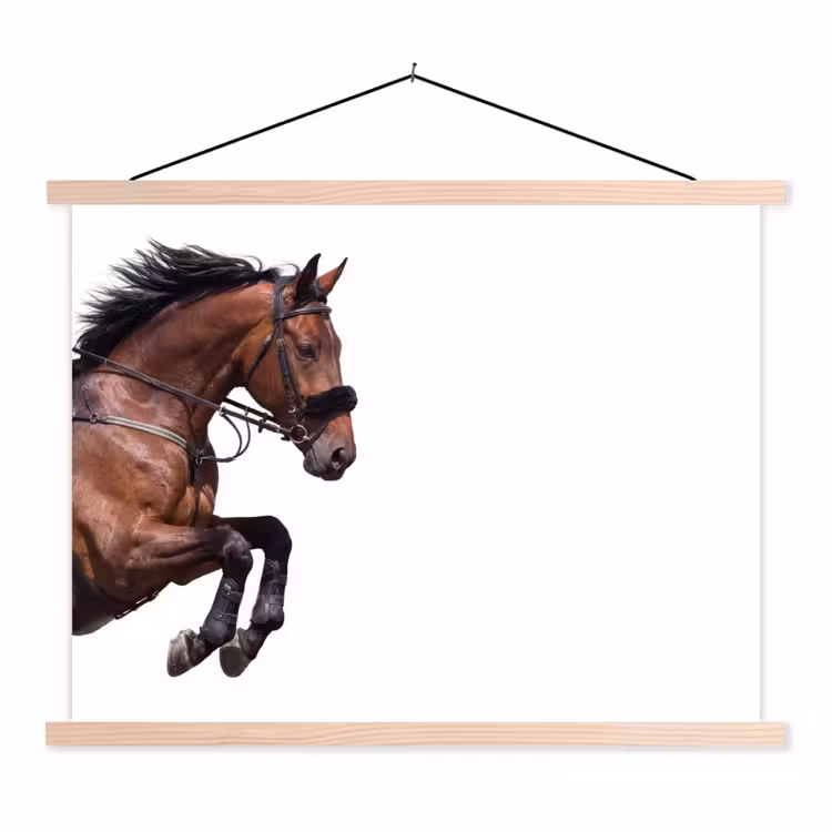 Schoolplaat - Paard - Springen - Modern — 1