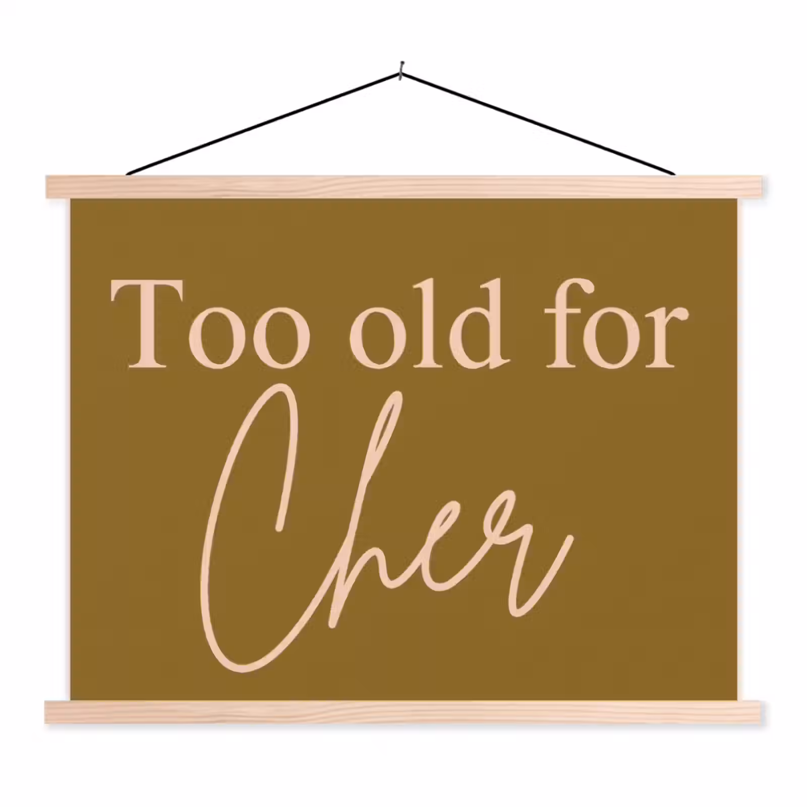 Schoolplaat - Groen - Too old for cher - Roze — 1