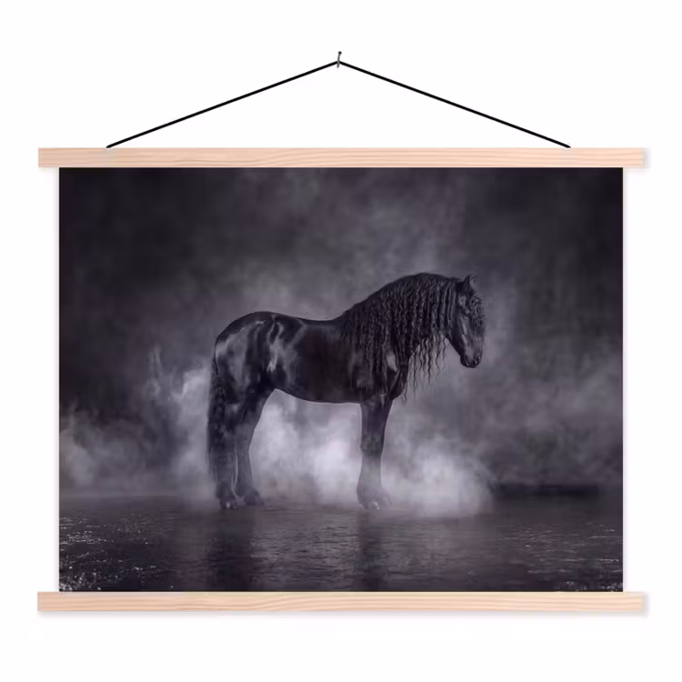 Schoolplaat - Paard - Magisch - Zwart — 1