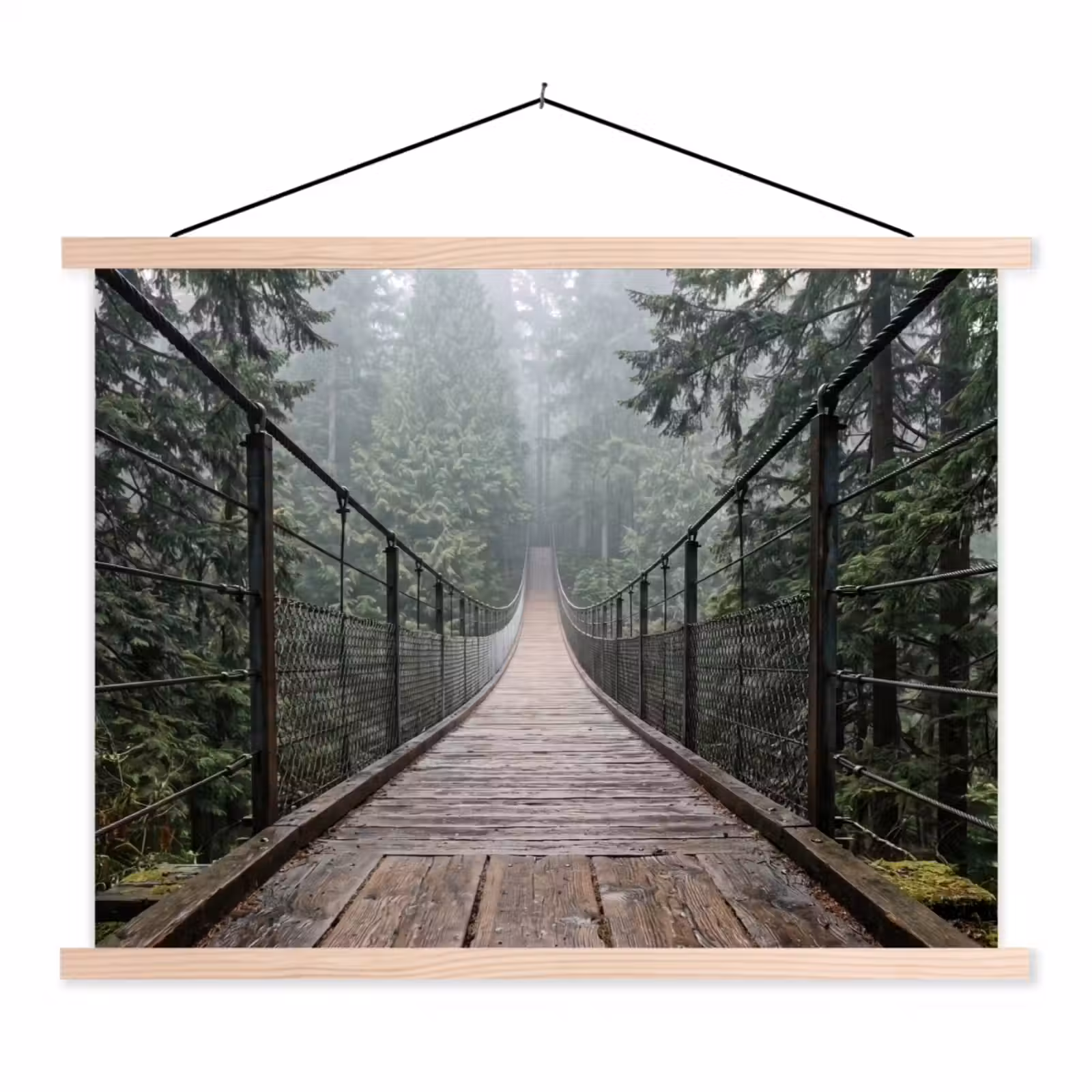 Schoolplaat - Brug - Bos - Mist - Natuur — 1