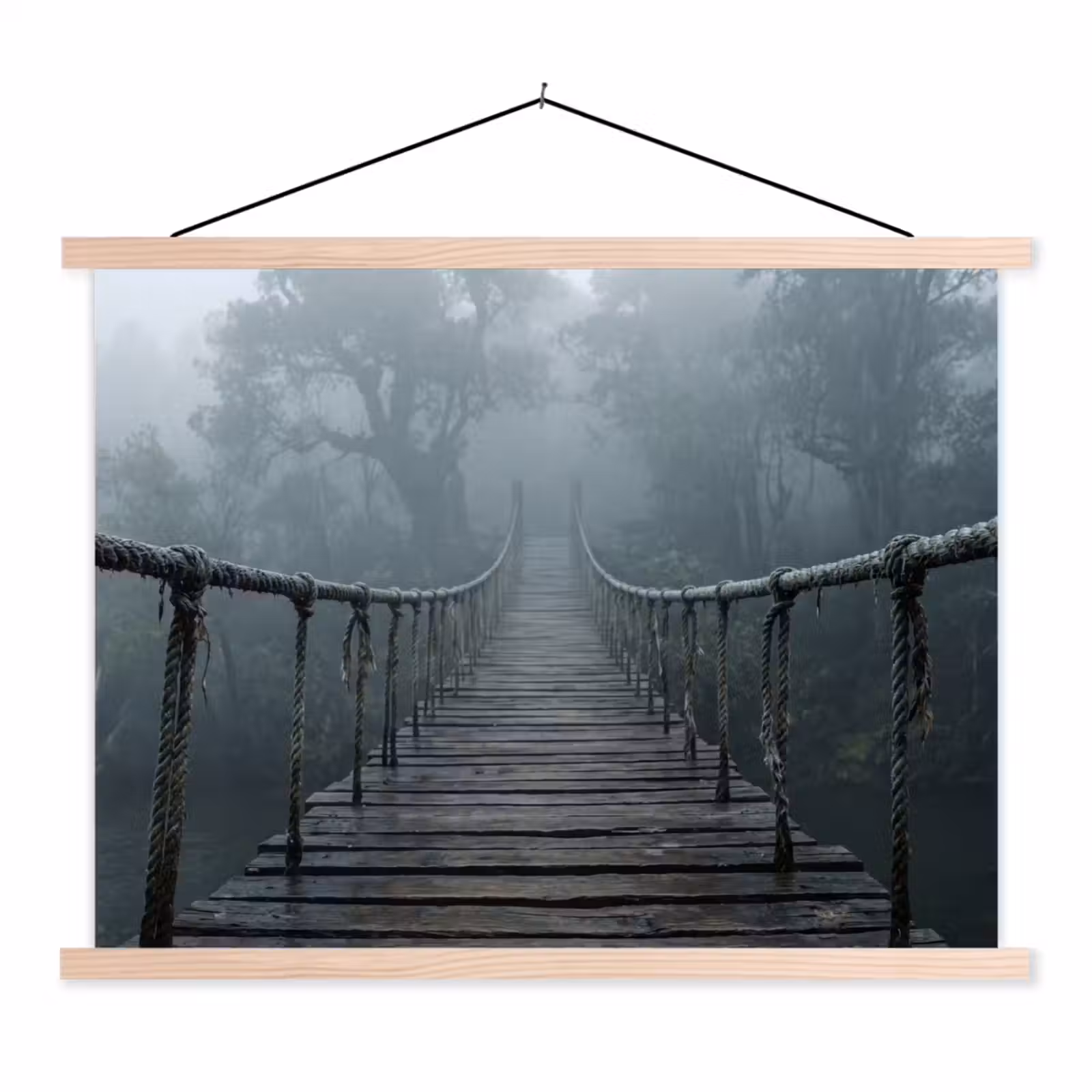 Schoolplaat - Brug - Jungle - Mist - Natuur — 1