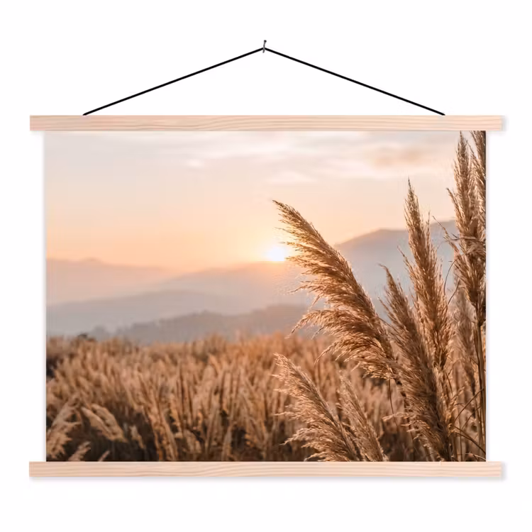 Schoolplaat - Gras - Veld - Zon - Natuur — 1