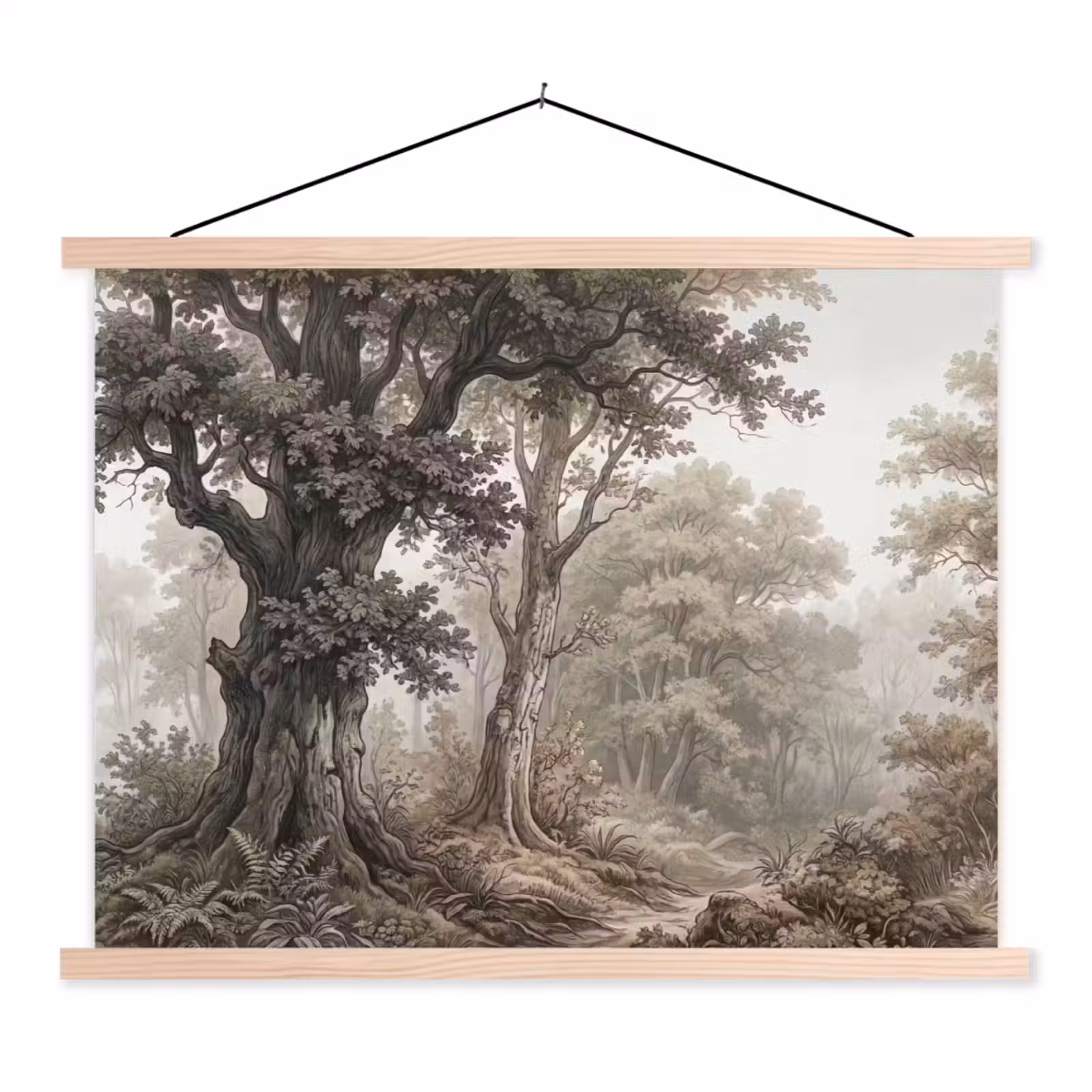 Schoolplaat - Natuur - Bos - Eik — 1