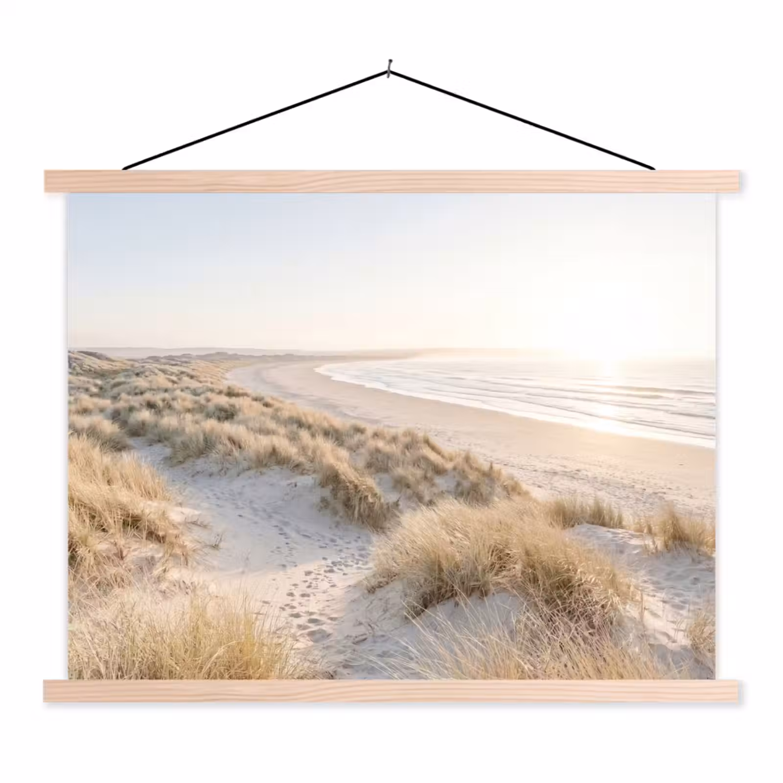 Schoolplaat - Duinen - Strand - Beige — 1