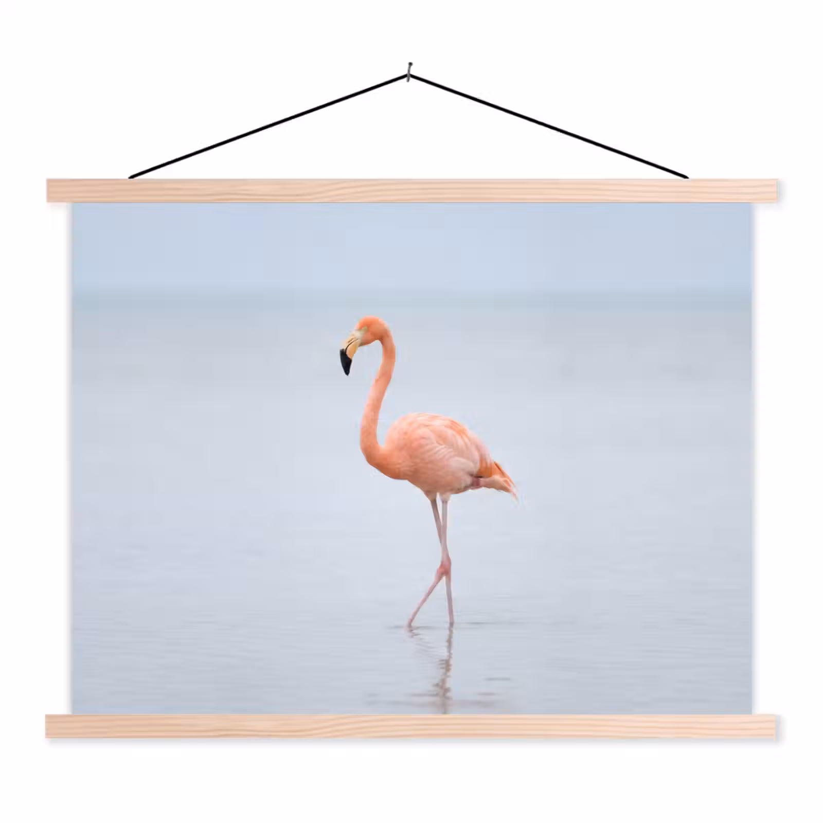 Schoolplaat - Flamingo - Zee - Roze — 1