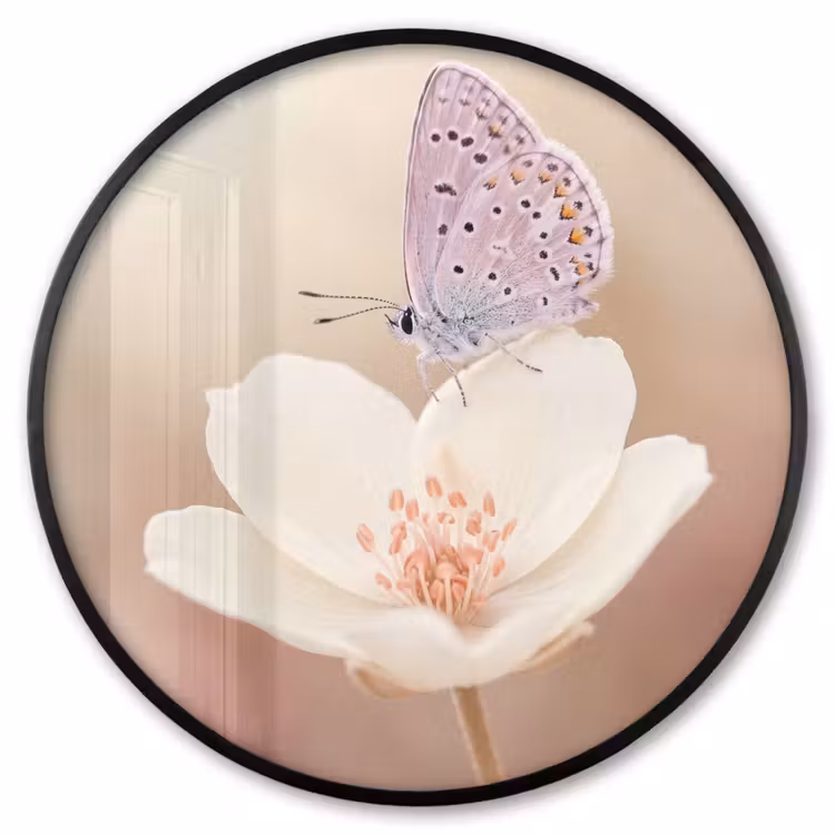 Ronde fotolijst - Vlinder - Bloem - Blauw — 1