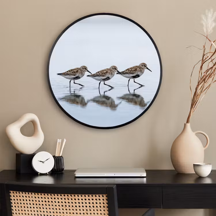 Ronde fotolijst - Vogels - Water - Grijs — 2