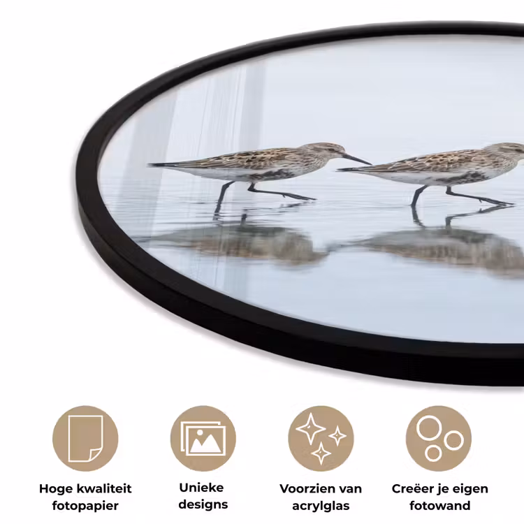 Ronde fotolijst - Vogels - Water - Grijs — 5