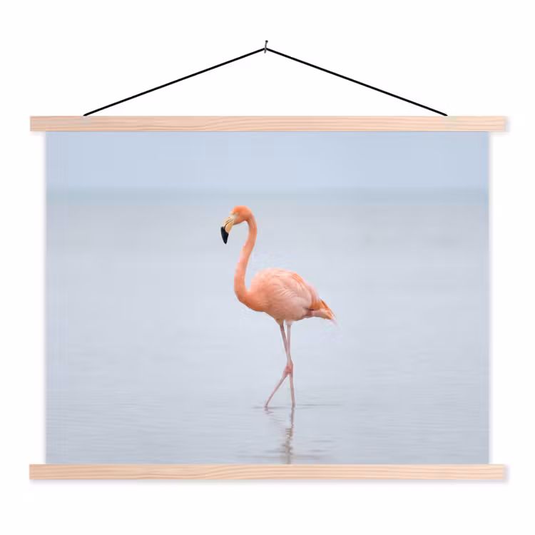 Schoolplaat - Flamingo - Zee - Roze — 1