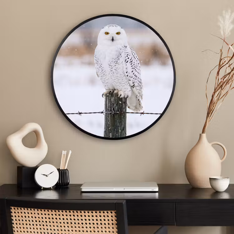 Ronde fotolijst - Sneeuwuil - Hek - Sneeuw - Wit — 2