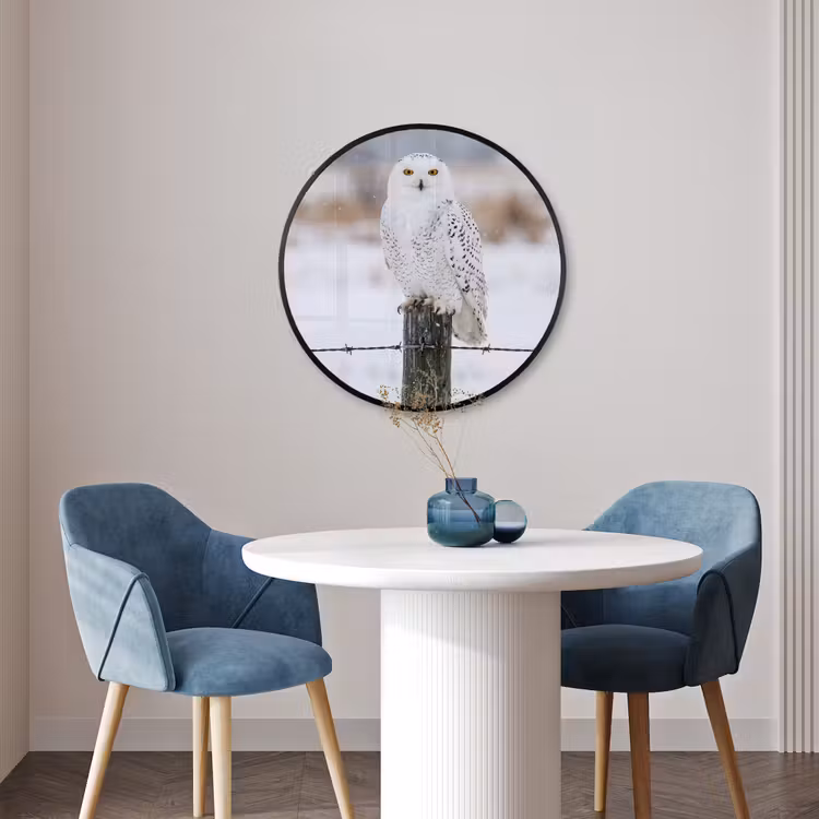 Ronde fotolijst - Sneeuwuil - Hek - Sneeuw - Wit — 3