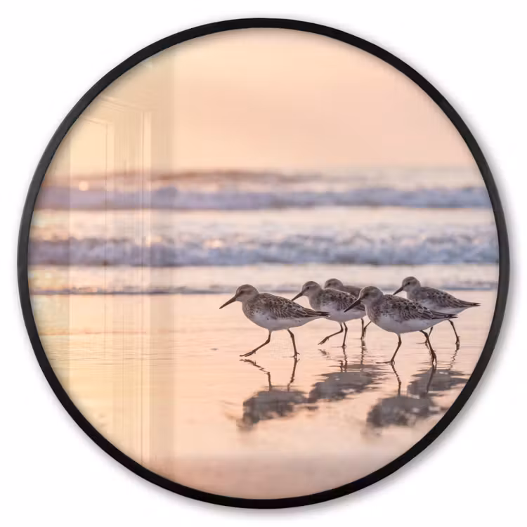 Ronde fotolijst - Zee - Vogels - Strand — 1