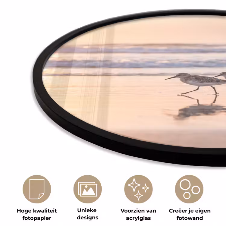 Ronde fotolijst - Zee - Vogels - Strand — 5