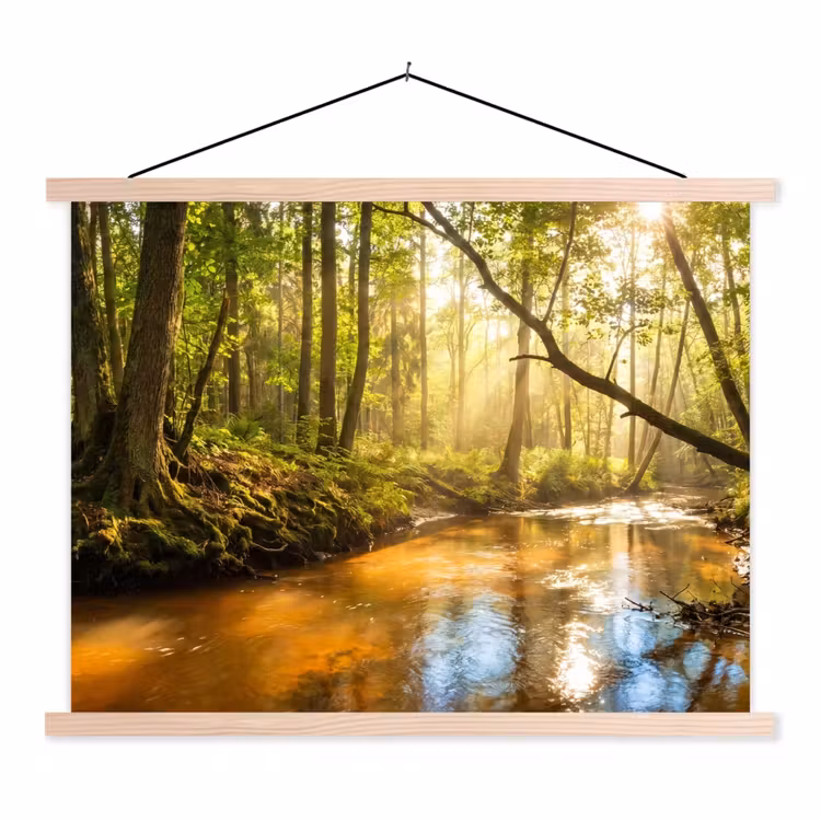 Schoolplaat - Bos - Beek - Zonlicht - Natuur - Groen — 1