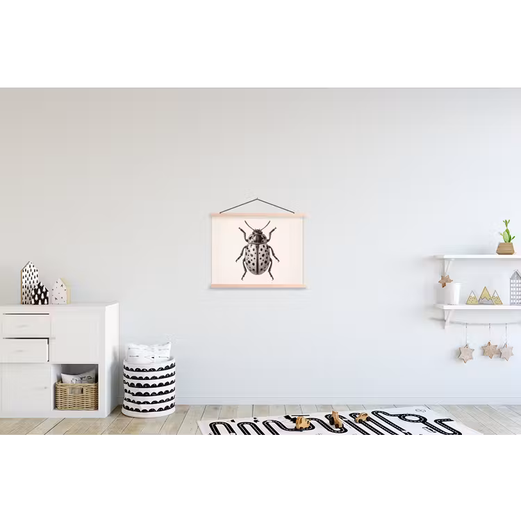 Schoolplaat - Kever - Insect - Vintage — 3