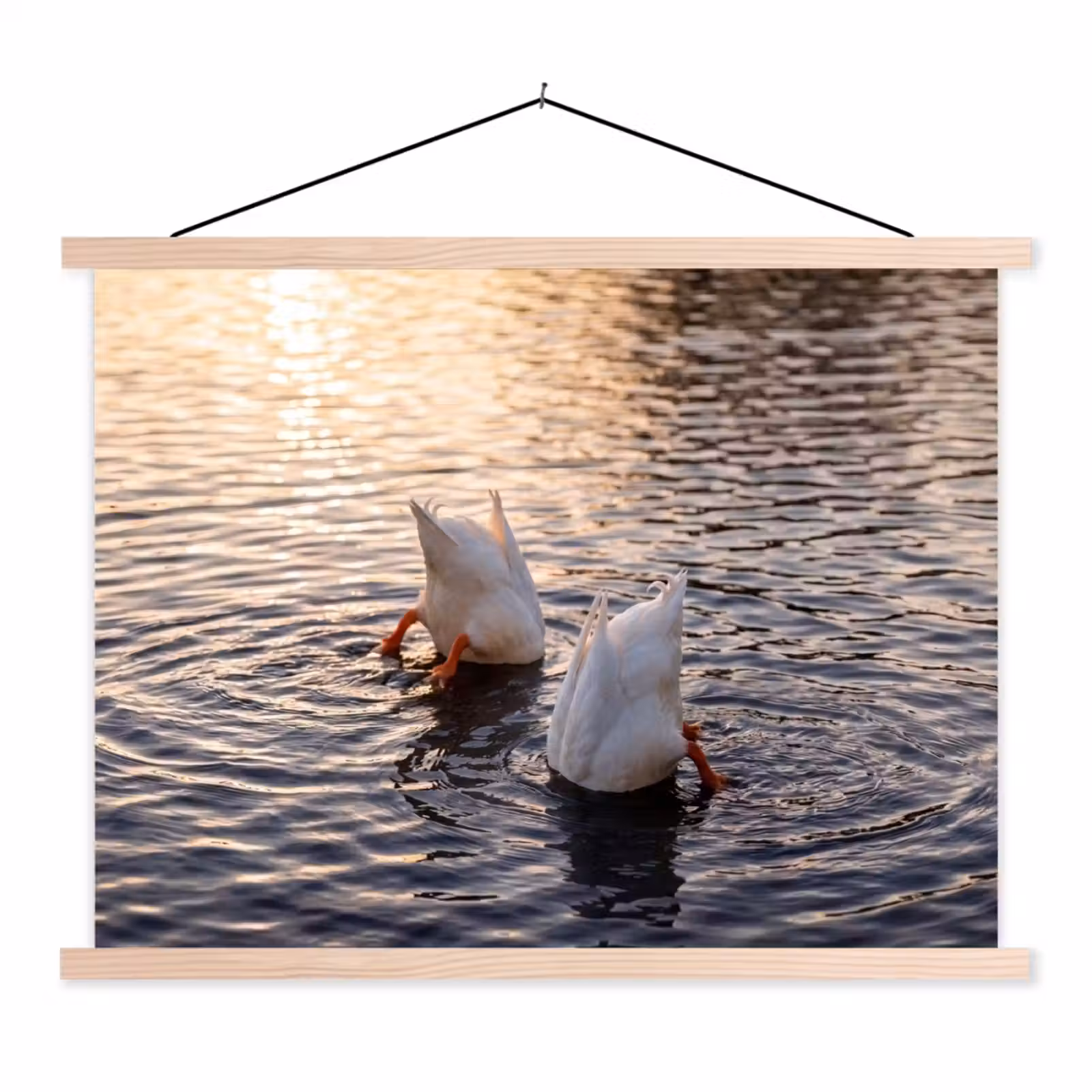 Schoolplaat - Eenden - Water - Natuur — 1