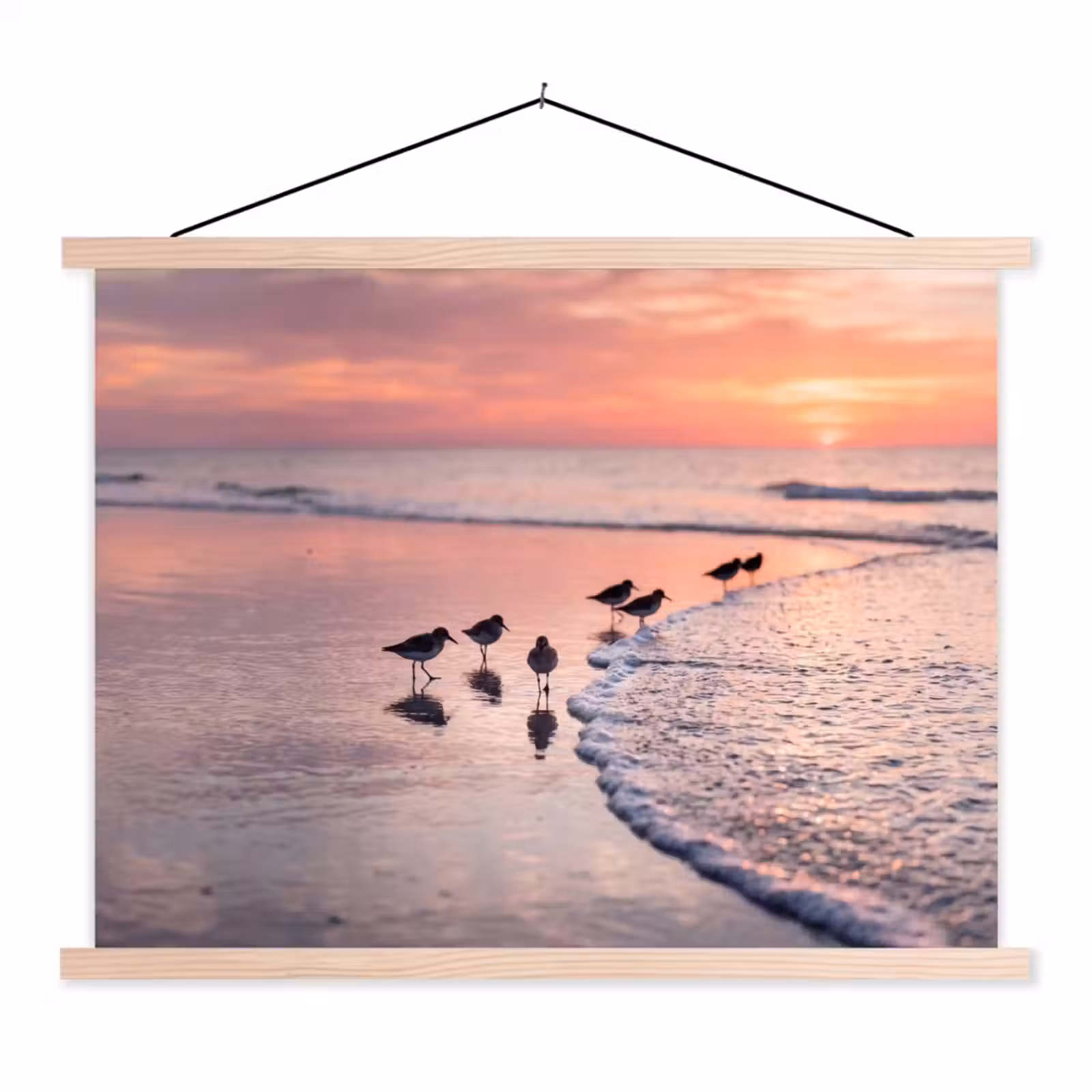 Schoolplaat - Meeuwen - Strand - Zee - Roze — 1