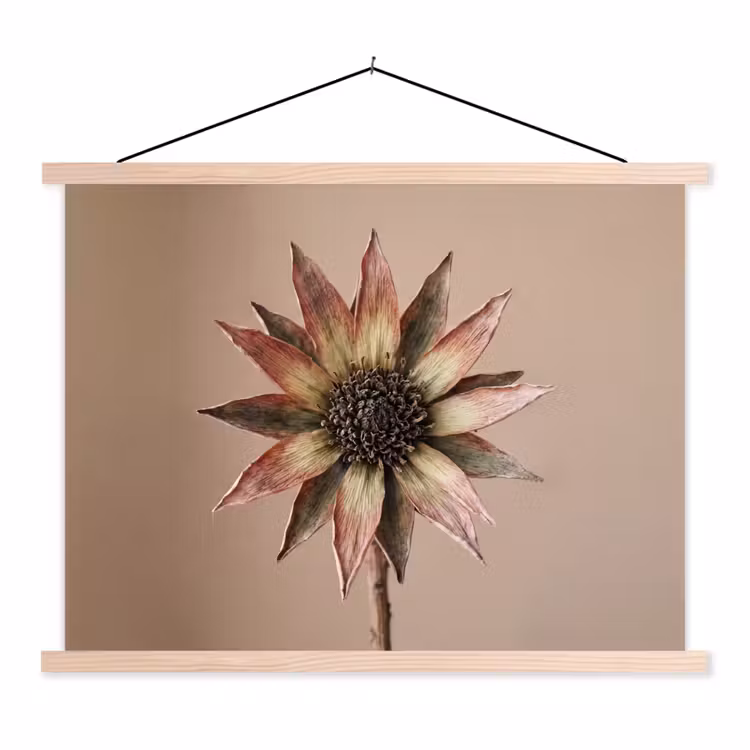 Schoolplaat - Droogbloem - Protea - Vintage - Beige - Rustiek — 1