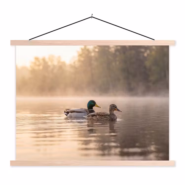 Schoolplaat - Eenden - Water - Mist - Natuur — 1