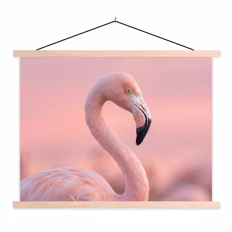 Schoolplaat - Flamingo - Portret - Roze — 1