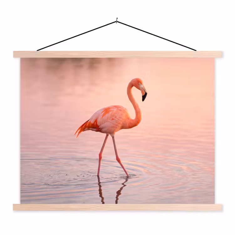 Schoolplaat - Flamingo - Water - Roze — 1