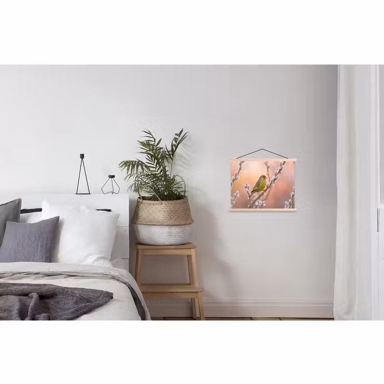 Schoolplaat - Groenling - Katjes - Lente - Natuur - Zacht — 2