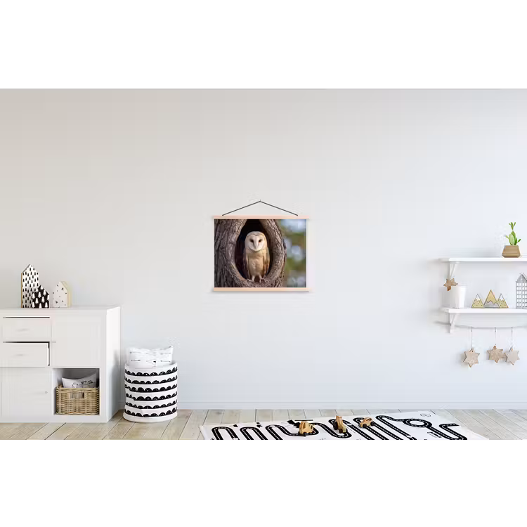 Schoolplaat - Kerkuil - Boom - Natuur - Bruin — 3