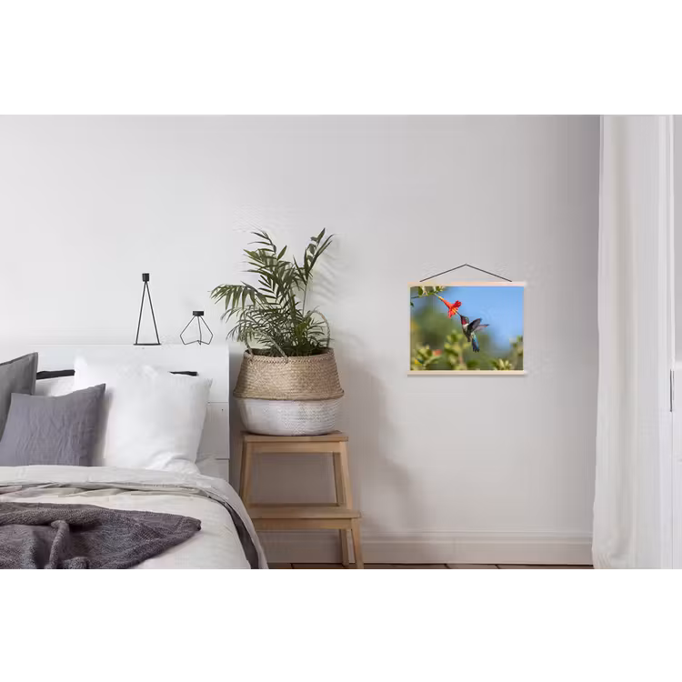 Schoolplaat - Kolibrie - Bloem - Natuur - Groen — 2