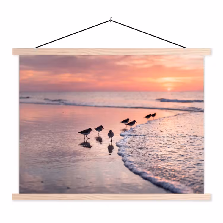 Schoolplaat - Meeuwen - Strand - Zee - Roze — 1