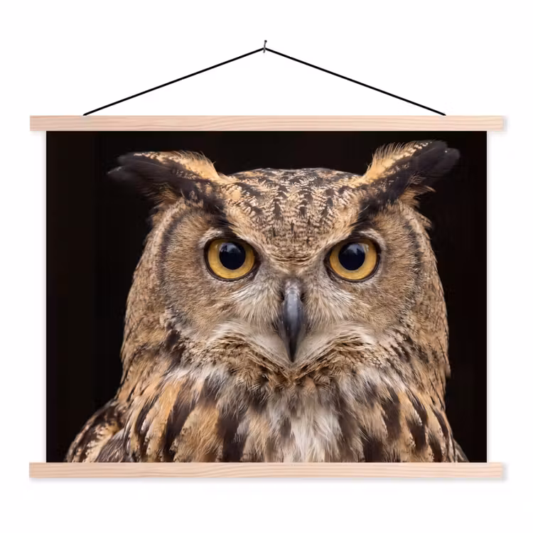 Schoolplaat - Oehoe - Uil - Portret - Bruin — 1