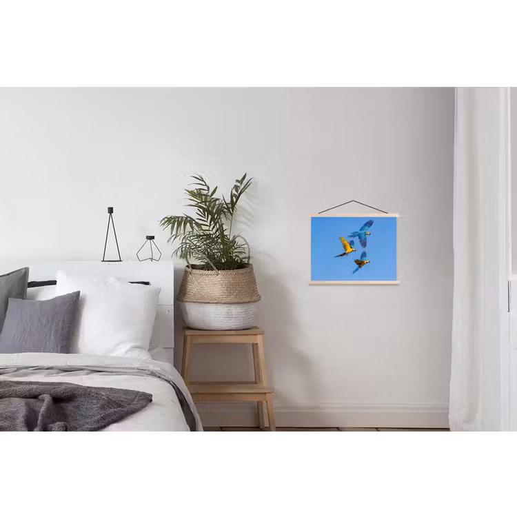 Schoolplaat - Papagaai - Vliegen - Blauw - Geel — 2