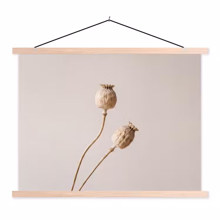 Schoolplaat - Papaverbollen - Droogbloemen - Minimalistisch - Beige - Rustig — 1