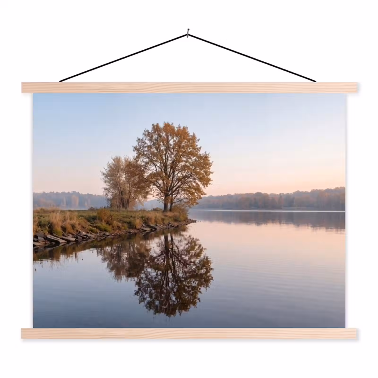 Schoolplaat - Bomen - Reflectie - Water - Zonsopgang - Serene — 1