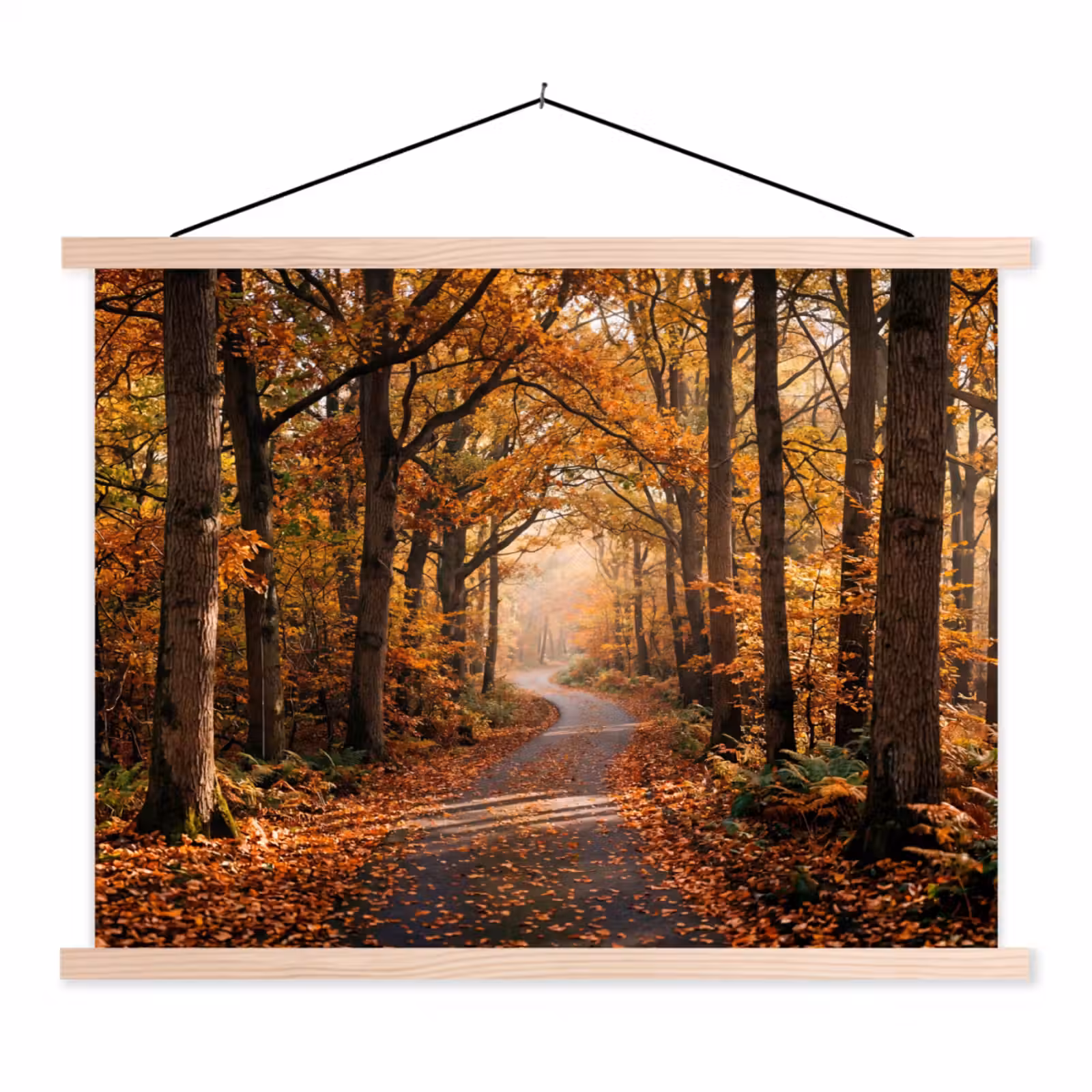 Schoolplaat - Bospad - Herfstbos - Bladeren - Oranje - Nostalgisch — 1