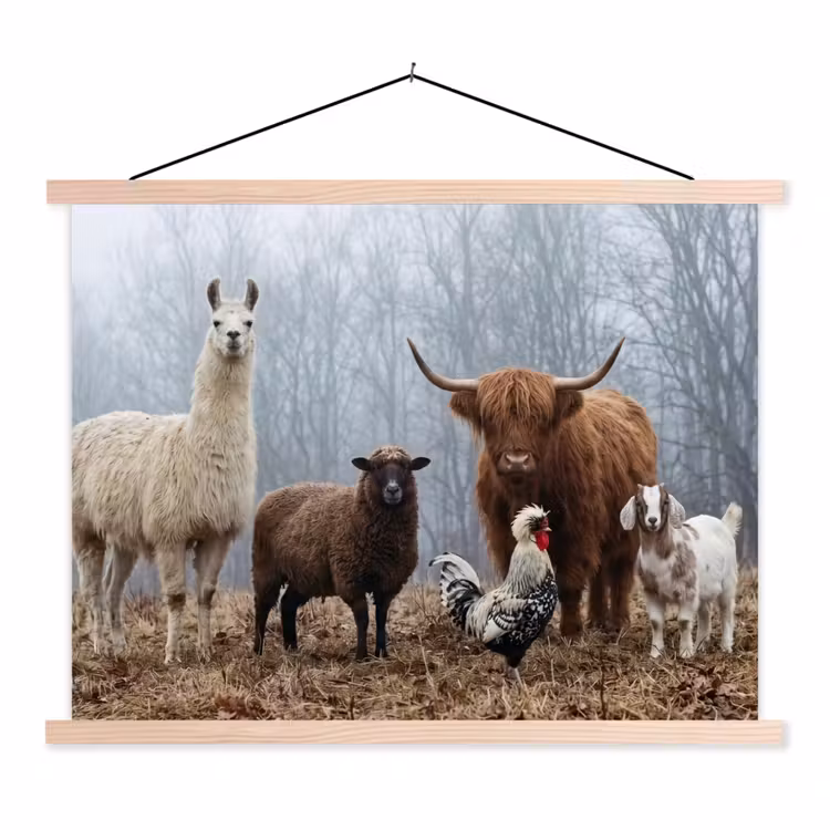 Schoolplaat - Boerderijdieren - Groep - Mist - Natuur - Rustiek — 1