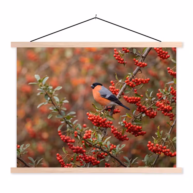 Schoolplaat - Goudvink - Bessen - Herfst - Natuur - Kleurrijk — 1