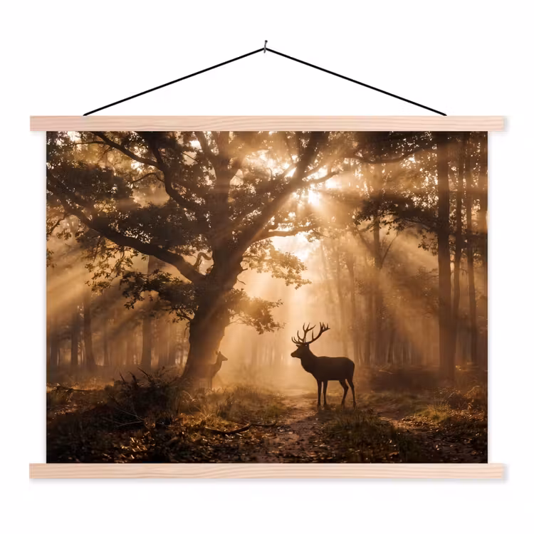 Schoolplaat - Hert - Bos - Mistig - Natuur - Goud — 1