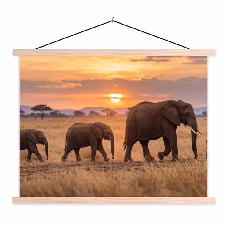 Schoolplaat - Olifanten - Savanne - Zonsondergang - Afrika - Warm — 1